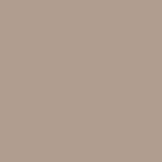 Rako Object COLOR ONE RAL 0607020 SVETLO BÉŽOVO-HNEDÝ LESK 15x15 obklad WAA19301