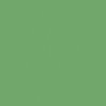 Rako Object COLOR ONE RAL 1306050 ZELENÝ MAT 15x15 obklad WAA19466