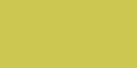 Rako Object COLOR ONE RAL 0958070 ŽLTO-ZELENÝ MAT 20x40 obklad WAAMB464