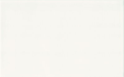 Ceramika Color NERO WHITE 25x40 obklad