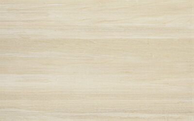 Cersanit AMBIO PS207 CREAM 25X40 obklad W403-001-1
