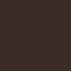 Rako Object COLOR ONE RAL 0502010 TMAVO-HNEDÝ MAT 20x20 obklad WAA1N681