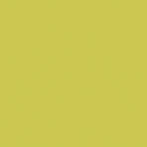 Rako Object COLOR ONE RAL 0958070 ŽLTO-ZELENÝ MAT 15x15 obklad WAA19464