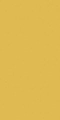 Rako Object COLOR TWO RAL 0858070 TMAVO-ŽLTÁ 10x20 dlažba GAAD8142