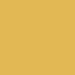 Rako Object COLOR TWO RAL 0858070 TMAVO-ŽLTÁ 20x20 dlažba GAA1K142