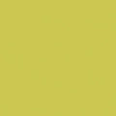 Rako Object COLOR TWO RAL 0958070 ŽLTO-ZELENÁ 20x20 dlažba GAA1K464