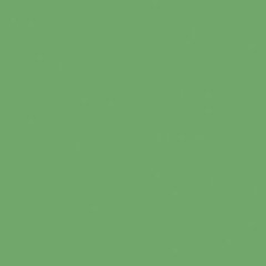 Rako Object COLOR TWO RAL 1306050 ZELENÁ 20x20 dlažba GAA1K466