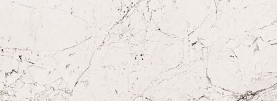 Tubadzin SOPHISTICATED WHITE LESK 32,8x89,8 obklad