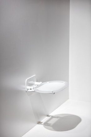 Ravak SPRCHOVÉ SEDÁTKO CHROME CLEAR / STAINLESS B8F0000029