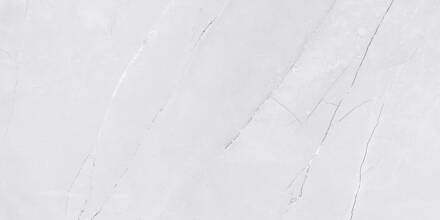 Netto VENEZIA LIGHT GREY SHINY LESK REKT. 30x60 obklad