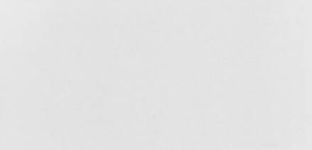 New Way DYMO BIELY LESK REKT. 30x60 obklad odt.E1 d.v.14.7.25 (1,44m2)