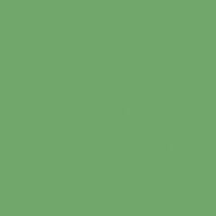 Rako Object COLOR ONE RAL 1306050 ZELENÝ MAT 20x20 obklad WAA1N466
