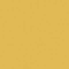 Rako Object COLOR TWO RAL 0858070 TMAVO-ŽLTÁ 20x20 dlažba GAA1K142