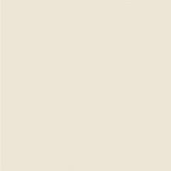 Rako Object TAURUS COLOR 11 BIELA 30x30 dlažba TAA34011